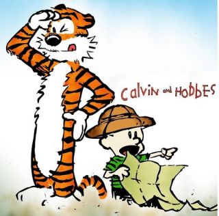  Calvin and Hobbes 12 8 x 10 T Shirt Iron On