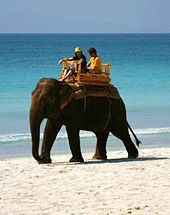  used to entertain tourists at some beaches as at havelock island india