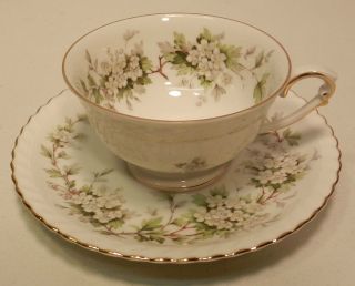 Hawthorn Krautheim Franconia Selb Bavaria Germany Cup and Saucer Set
