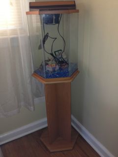  10 Gallon Hexagon Fish Tank with Stand