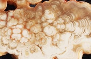 Slab Cave Onyx Amazing Delicate Patterns