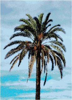 Palm Tree Blue Sky Counted Cross Stitch Pattern Nature