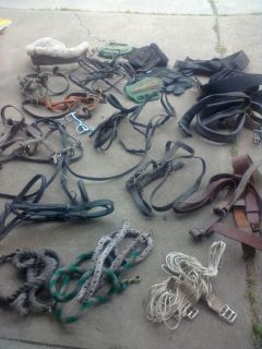 Huge Lot of Horse Tack Equestrian Supplies