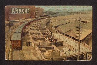 1915 Unloading Docks Union Stock Yards Railroad Armour Sheep South