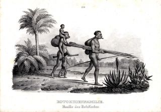 1840 SCHINZ Honegger Lithograph Botocudo People