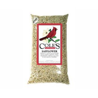 Safflower 20 lbs. Special White Seed   for Cardinals