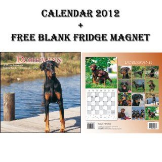 DOBERMANN 2012 CALENDAR + FREE FRIDGE MAGNET   BY MAGNUM