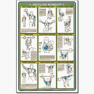 Fitness And Weightlifting Charts   Fitnus Chart  shoulder