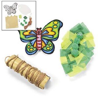 Color Your Own Butterfly Life Cycle Craft Kit   Curriculum