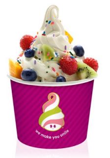 Local Seattle $10 to Spend on Frozen Yogurt