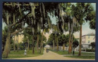 1907 PC Postcard Cedar Avenue Daytona Florida FL