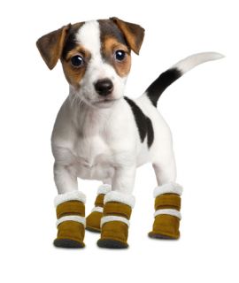 Hugs Pet Products Pugz Shoes for Dogs