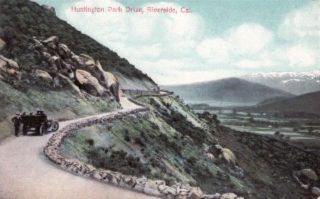 Riverside CA Huntington Park Drive Postcard