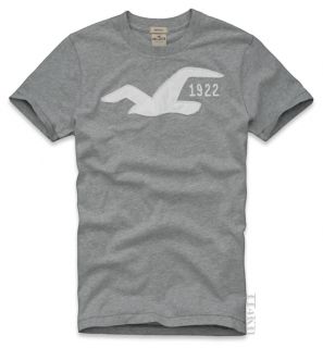 Hollister HCO Mens Applique Print Graphic Tee T Shirt