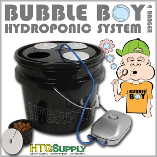 Plant Site Hydroponic Grow Kit System Bubble Boy DWC Bubbler Hydro