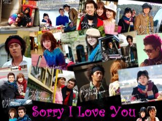 AM SORRY I LOVE YOU Korean Drama (Complete 9 Disc Set ) With English