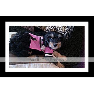 Pooch’s Style Cotton Dress for Dogs (Pink, Multiple Sizes Available