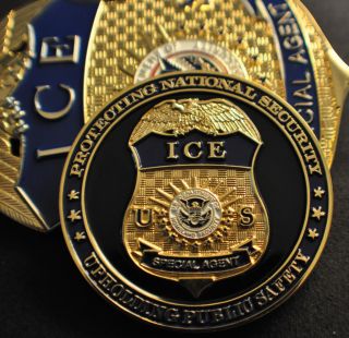 Ice US Immigration Customs Enforcement Badge Challenge Coin
