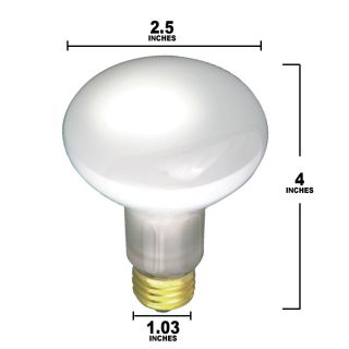  30W 120V R20 Frosted E26 Medium Base Incandescent Light Bulb