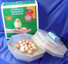 Egg Incubator Manual Octagon +Hygrometer+Torch+thermometer+Guide