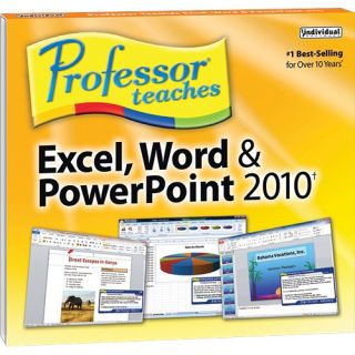 Individual Professor Teaches Excel Word PowerPoint 2010 Windows