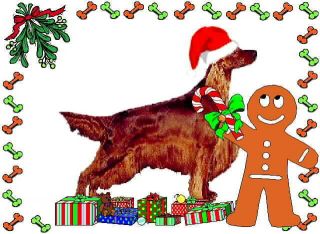 Irish Setter Dog Christmas Cards Envelopes