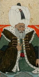 grand vizier ali pasha was killed in battle against rebels