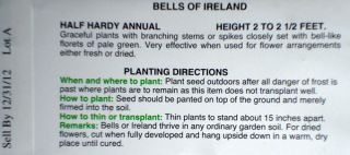 Bells of Ireland Seeds 60 Bells Seeds