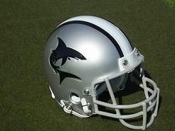 Jacksonville Sharks WFL Authentic Football Mini Helmet Out of