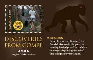  Jane Goodalls Gombe Chimp Research. The sheet is Post Office fresh