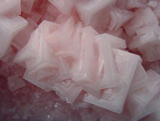 Huge Gallery Size 10 inch Top World Class Pink Halite Crystal Cluster