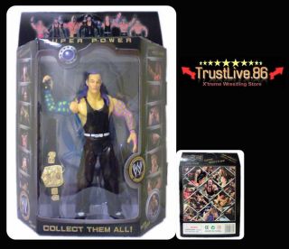 WWE Jeff Hardy Action Figures Toy Wrestling Belt BNIB