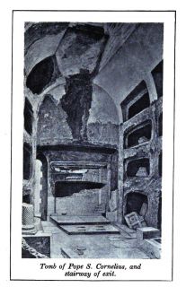20 Old Books Roman Catacombs Saints Christian Catholic and Primitive