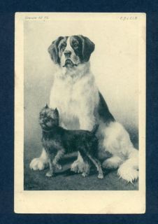 G2280 Postcard Border Terrier Saint Bernard Dog
