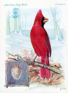 Red Cardinal Songbird Fridge Magnet Singer Sewing Ridgway