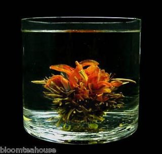 Bloom Tea Set Glass Teapot Warmer 6 Blooming Flowering  