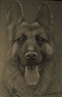 Karens Pencil Charcoal Original Drawing of German Shepherd