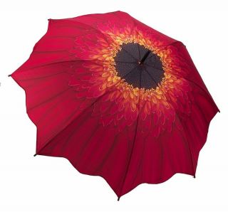 Cute Red Daisy Folding Rain Umbrella Art Designer Fashion Compact