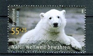 Polar Bear Knut Stamp Germany 2008 MNH