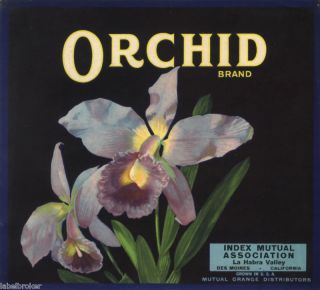 Orange County Crate Label Vintage Orchid La Habra 1930s