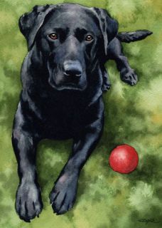 Black Lab Watercolor Dog Art ACEO Print Signed DJR