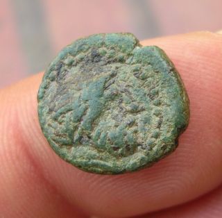 Nice Bronze Greek Coin Pelophonesus Lacedemonia Laconia
