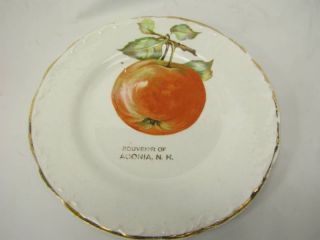 Vintage Souvenir National China Plate Laconia NH Apple