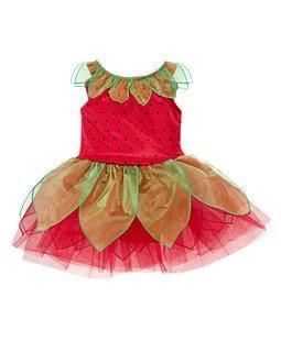 Gymboree Strawberry Fairy Princess Costume 6 12 MO