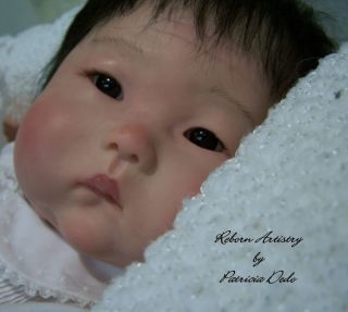 REBORN ASIAN BABY *ANMING* BY PING LAU   BRIAR HILL NURSERY   PATRICIA