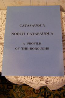 Catasauqua Lehigh Valley PA History Book Profile of The Boroughs 1992