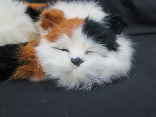 Lifelike Calico Black White Brown Sleeping Kitty Cat Plush Stuffed