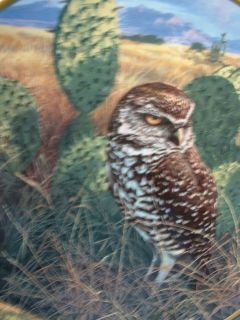 Prairie Sundown Spode China Owl Bird Collectors Plate by John Serrey