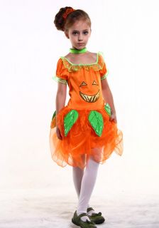 New Light Up Pumpkin Fairy Girl Kids Child Halloween Costume Set