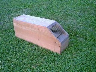 Live Animal Trap Plans   Easy to Read Affordable to Build   Durable